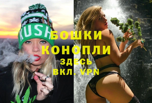 mix Богородск