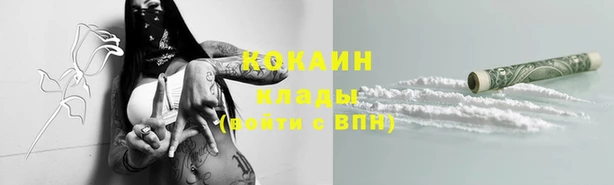 стафф Богданович
