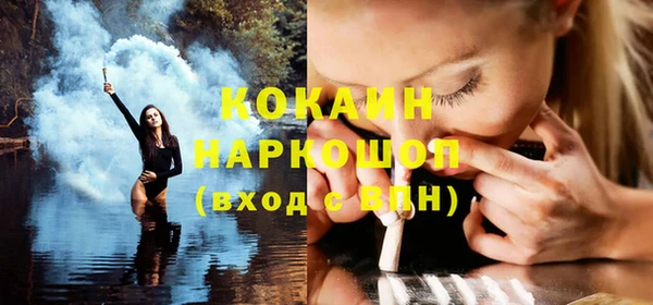 сатива Бородино