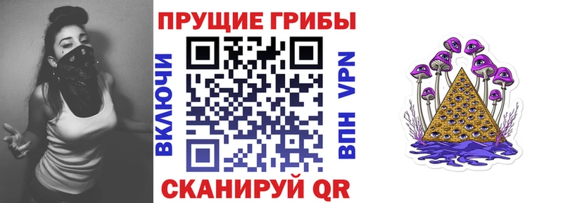 Псилоцибиновые грибы Cubensis  Будённовск 