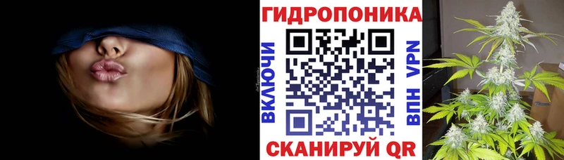 Марихуана VHQ Будённовск
